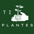Explorez la diversité végétale de La Réunion avec Ti Plantes, célébrant la nature réunionnaise. Découvrez notre passion pour le jardinage local et la préservation de la biodiversité. Rejoignez notre communauté dédiée à un avenir vert et florissant.